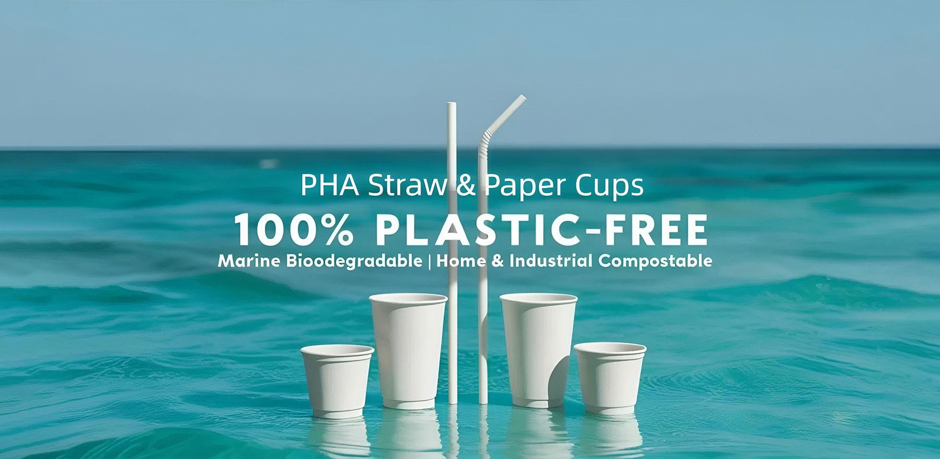 China Paper Cup leverandør